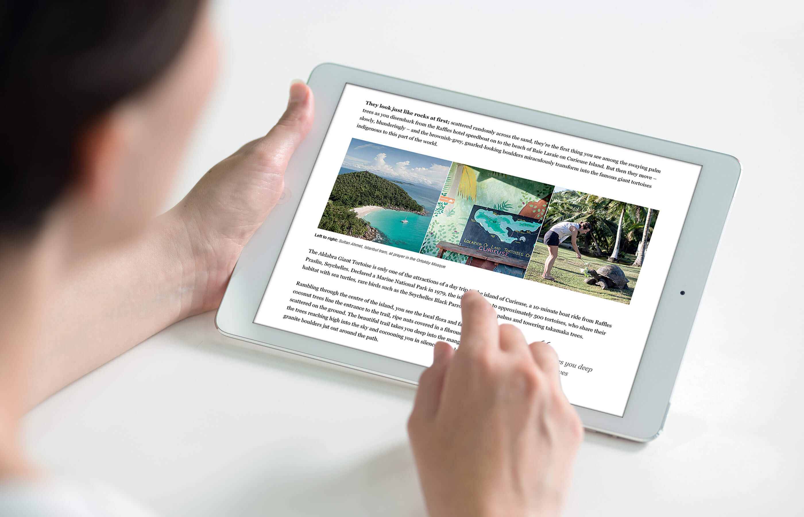 Raffles case study image